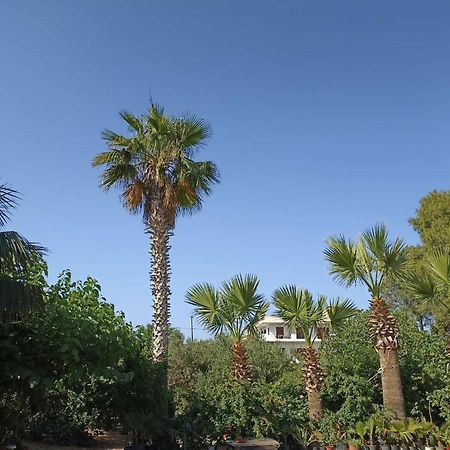 Ferienwohnung Palm-Tree Arkoudi Exterior foto